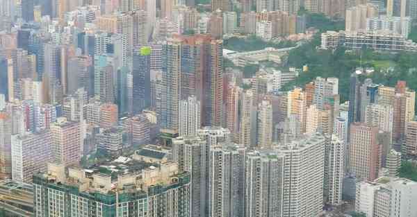 香港梯子